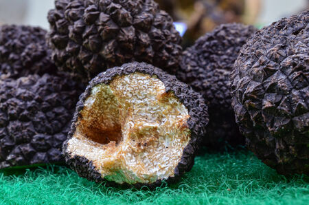Black truffles or Tuber aestivum, very aromatic and expensive mushroom well known as afrodisiacの写真素材