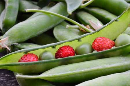 Surprise in a pod - peas and wild strawberries, food ingredients full of vitamins and minerals