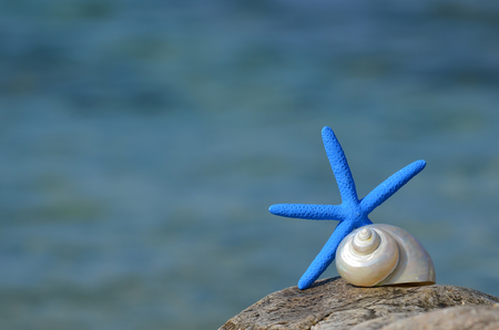 Blue starfish and snail on a rock against blue bokehの写真素材