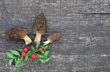 Three young Morel mushrooms and Holly beries on old oak table backgroundの写真素材