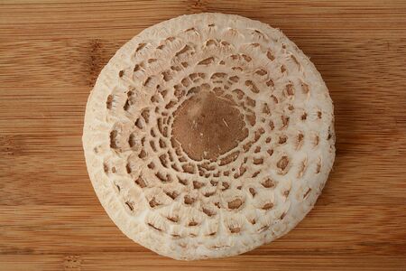 Fresh Parasol mushroom on wooden background, view from aboveの写真素材
