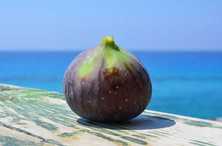 One blue fig on green grunge wooden background against blue sea bokehの写真素材