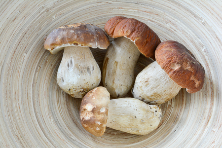 Four nice specimen of Boletus edulis, edible wild mushrooms, freshly harvested and put in gray wicker basket, view from aboveの写真素材