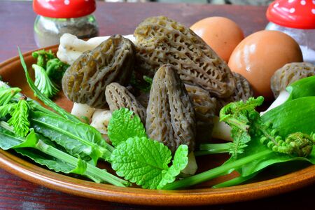 Enhanced  forester's vitamin breakfast, spring mushrooms and plants, Black morels, eggs, salt and pepper, wild onion leaves, young fern, Lemon balm and other spring wild plants, close up viewの写真素材