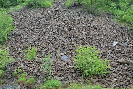 Geological phenomenon, stone landslide as river of rocks, wet under spring rain, with light green spring vegetation at the foot of rocky mountain,horizontal orientationの写真素材