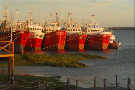 Puerto Deseado, Santa Cruz, Argentinaのeditorial素材