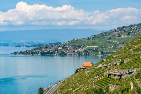 View on Lake Geneva in the direction of Lausanne from the beautiful Lavaux wine terrasses area in Switzerlandの写真素材