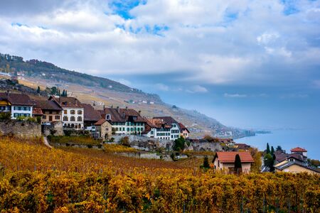 The Lavaux vineyards in autumn colors View on the wine terrasses near Montreux and Lake Geneva (Lac Leman) in Switzerlandの写真素材