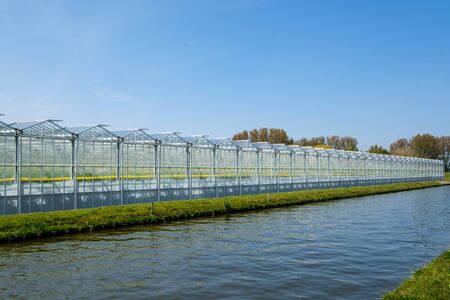 Perspective view of a modern industrial greenhouse for tomatoes in the Westland, the Netherlands. Westland is a region in of the Netherlands.の写真素材