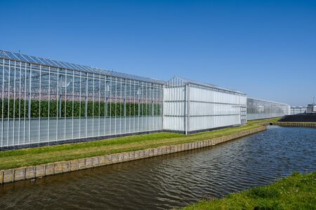 Perspective view of a modern high tech industrial greenhouse for tomatoes in the Westland, the Netherlands. Westland is a region in of the Netherlands.の写真素材
