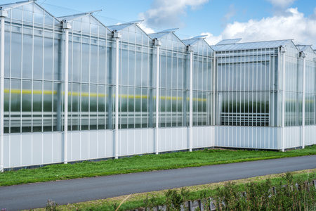 Perspective view of a modern industrial greenhouse in the Westland, the Netherlands. Westland is a region in the Netherlands.の写真素材