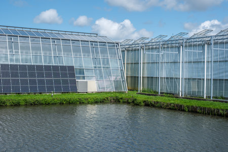 Perspective view of a modern industrial greenhouse with solar panels on the side in the Netherlands.の写真素材