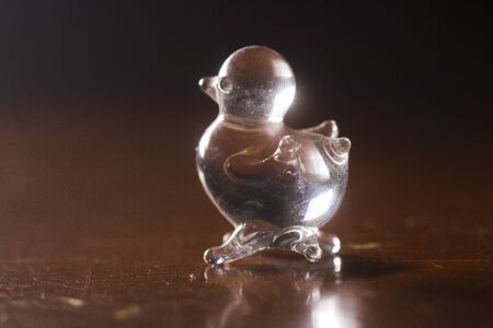 duck transparency glassの写真素材