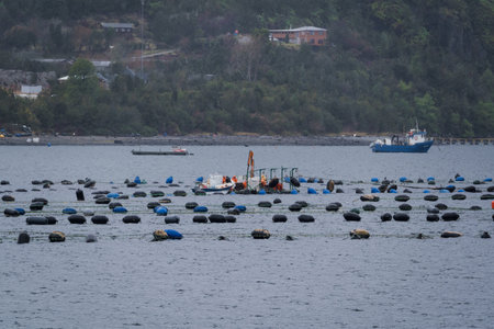 Fishing boats on the sea in the town of Sichuan, Chinaの写真素材