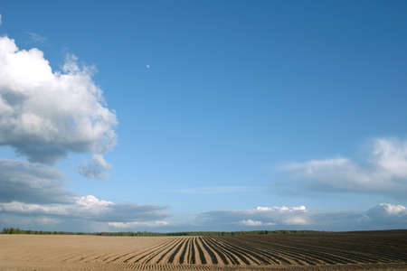 Plough agriculture field before sowing backgroundの写真素材