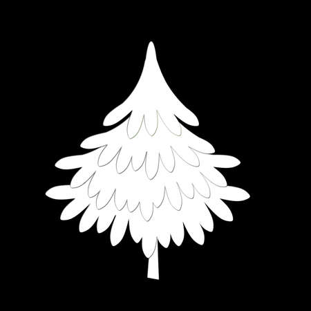 White fir tree on blackの写真素材