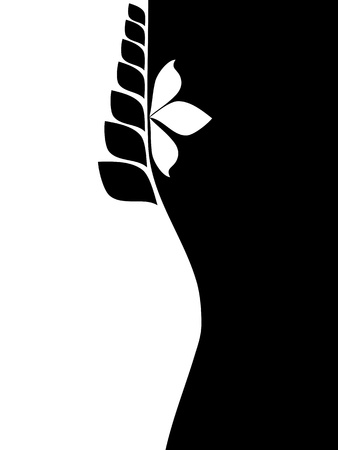 Black and white background cover のイラスト素材