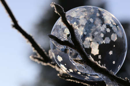 Bubble freezes with ice crystals