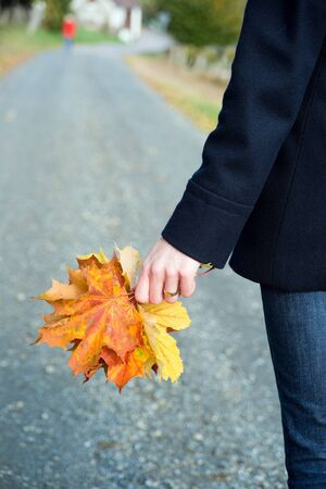 leaves in a hand