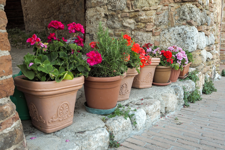 flowers in flower pots in front of a wall in italyの写真素材