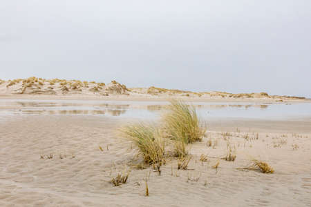 Dune in Germanyの写真素材