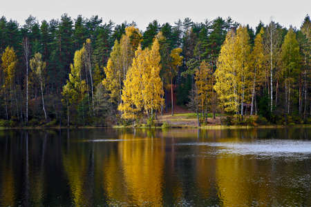 the colors of nature autumn at the lakeの写真素材