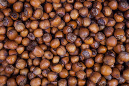 Whole hazelnuts background closeup macroの写真素材