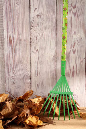Tools prepared to make order in the garden during the autumn season and maintenance of tools for the winterの写真素材