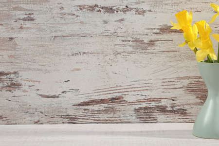 Narcissus - daffodil, a species of amaryliaceous plant species.の写真素材