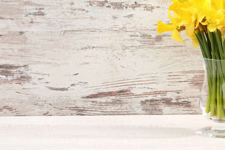 Narcissus - daffodil, a species of amaryliaceous plant species.の写真素材