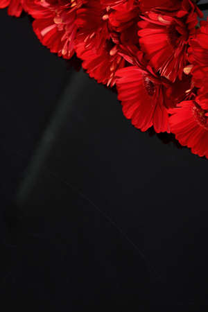 Gerbera with a large beautiful inflorescence is a wonderful decoration.の写真素材