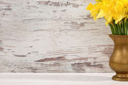 Narcissus - daffodil, a species of amaryliaceous plant species.の写真素材