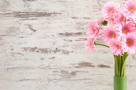 Gerbera with a large beautiful inflorescence is a wonderful decoration.の写真素材