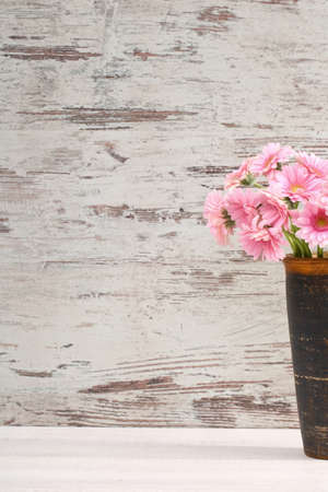 Gerbera with a large beautiful inflorescence is a wonderful decoration.の写真素材