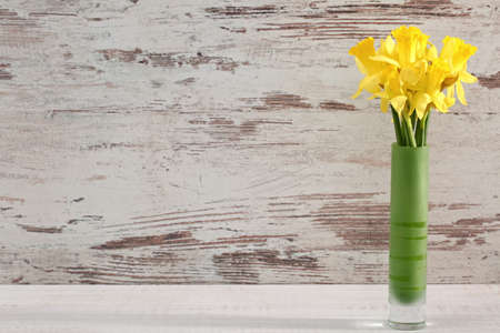 On natural sites it grows wild in Portugal and Spain. Many hybrids come from this species, which gardeners fall into the 7th group of narcissists.の写真素材