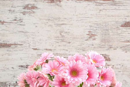 Gerbera with a large beautiful inflorescence is a wonderful decoration.の写真素材