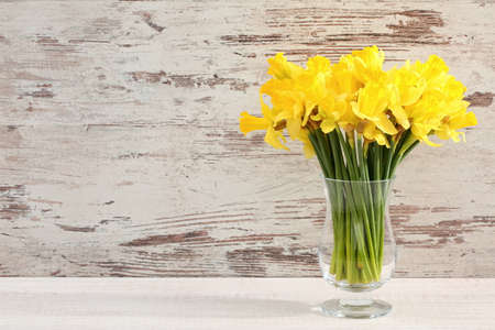 On natural sites it grows wild in Portugal and Spain. Many hybrids come from this species, which gardeners fall into the 7th group of narcissists.の写真素材