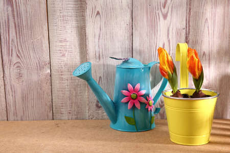 The garden is a beautiful hobby and has a good time and unnecessary effort.の写真素材