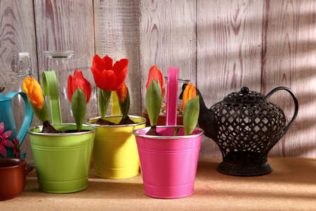 The garden is a beautiful hobby and has a good time and unnecessary effort.の写真素材