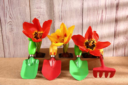 Garden tool for cleaning and watering in rainy weather.
