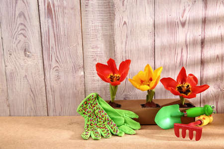 Garden tools that help streamline work related to gardening.の写真素材