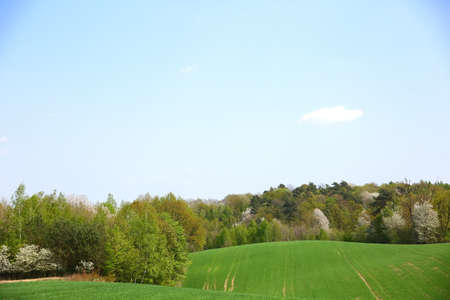 Springtime view of the extensive farmland in the countryside.の写真素材