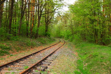 Old rusty railway track amid green forest.