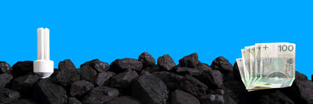 Paper money lies on black coal.