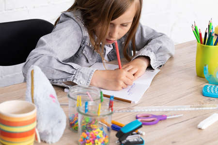 The girl in the lesson was given the task of drawing a teddy bear. The young schoolgirl draws with...