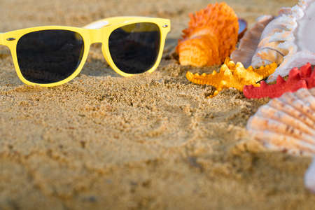 Sunglasses lie on the marker pen. Sea beach with wet sand. Starfish and shells lie on the seashore.
