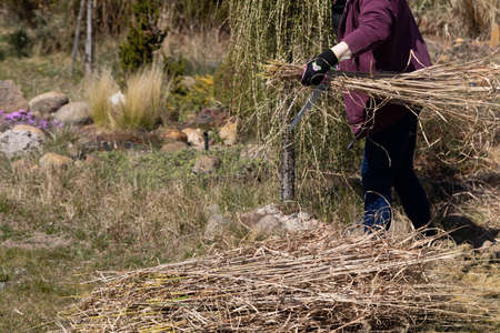 Pile of dry grass. Middle-aged red-haired girl. Cleaning up the recreational plot. Sunny day.
