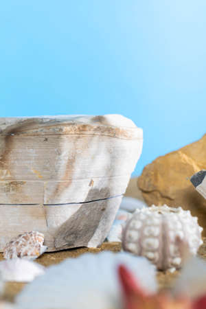 Blue sky. Limestone shells of snails. Abandoned shells lie on the beach. Sandy shore of the sea beach.の写真素材
