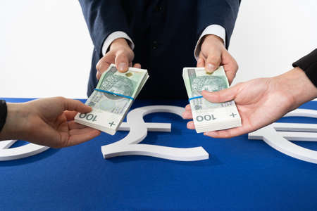 The delegated person spends the necessary cash from government funds to save the economy affected by...