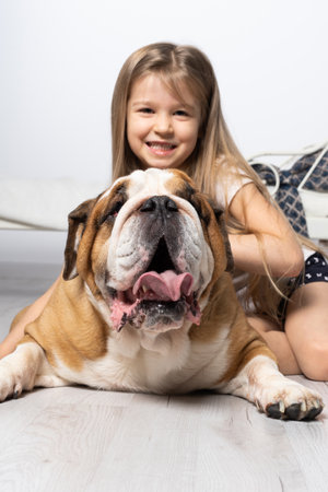An old and fat dog and a tiny and young girl sit on the floor by the bed in the bedroom. A breed with a brown coat with white patches.の写真素材